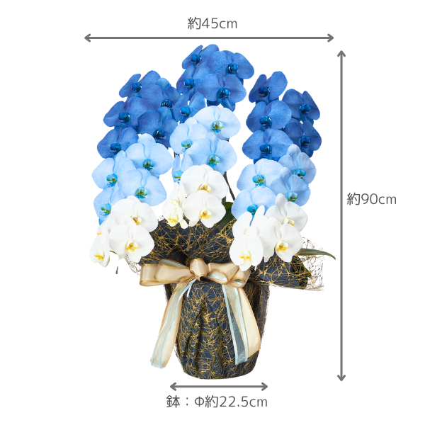 ǡĳ ֥롼 3Ω 3942ذʾ(ΤƤȭ) 2