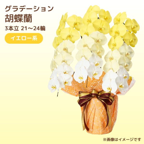 ǡĳ  3Ω 2124ذʾ(ΤƤȭ)