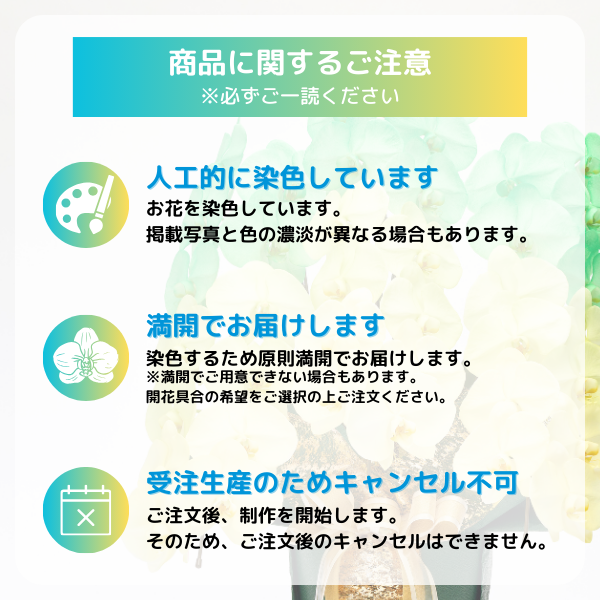 ǡĳ ԥ󥯷 3Ω 3336ذʾ(ΤƤȭ) 12