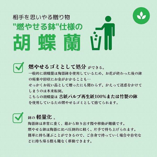 ǡĳ ԥ󥯷 3Ω 3942ذʾ(ΤƤȭ) 11