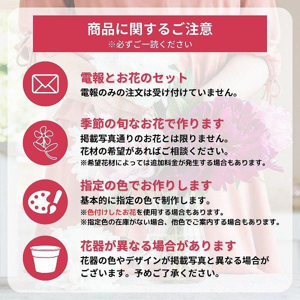 ǰʥ֥롼ˤȥե󥸥 S ԥ󥯡꡼ 13