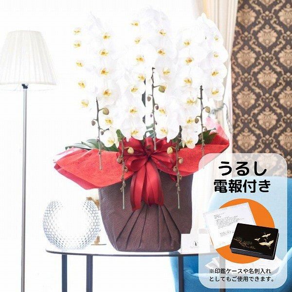 【限定セット】沖縄で祈りを込めたクリペ＆ハペ2本 赤シリーズ　第一弾　①〜⑧ PT-120X 第 22 回天下一武道会 | 玩具卸売 カワダオンライン