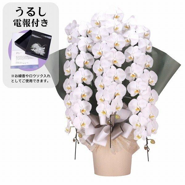 弔電とお花】うるし電報とお供え・お悔み用SDGs胡蝶蘭「フォアス」 3