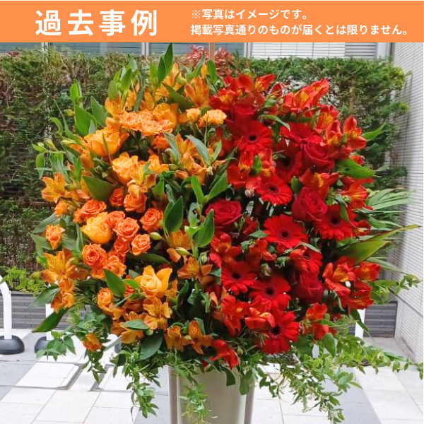 ɲ 1 ϡաϡաʥ󥸡֡ˡãġ 2