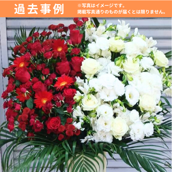 ɲ 1 ϡաϡա֡ˡãġ 3