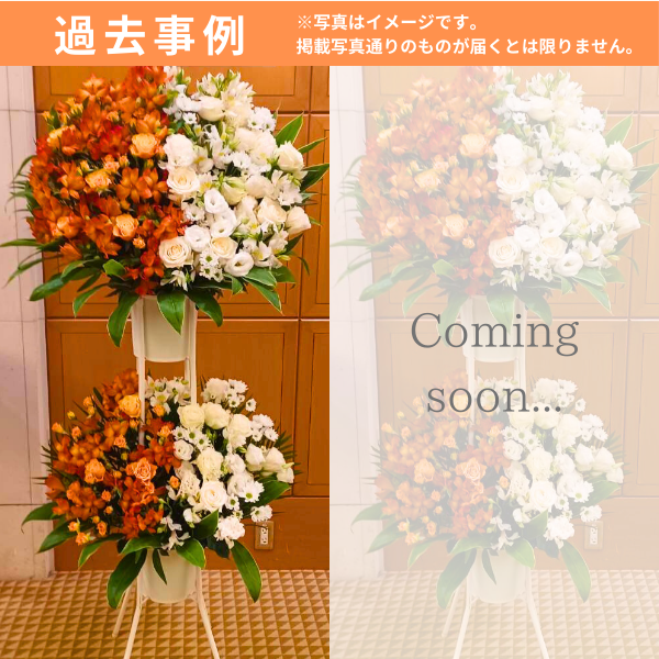 ɲ 2 ϡաϡաʥ󥸡ˡãġ 3