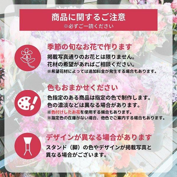 ɲ 2 ϡաϡաʥ󥸡ˡãġ 9