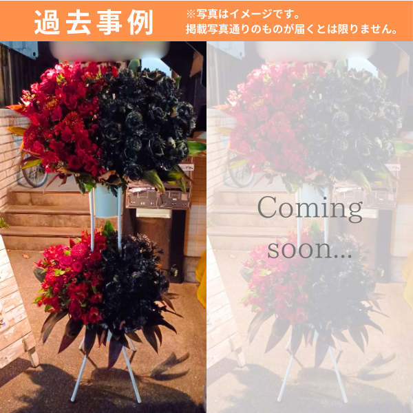 ɲ 2 ϡաϡա֡ˡãġ 4