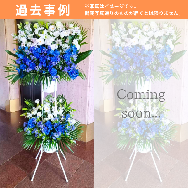 ɲ 2 ġȥʥ֥롼ˡãġ 4