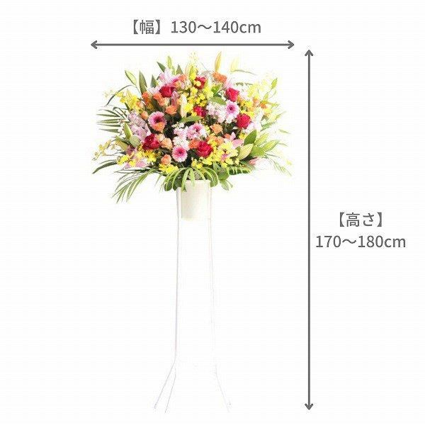 ɲ 1 ϡաϡաʹˡãġ 2