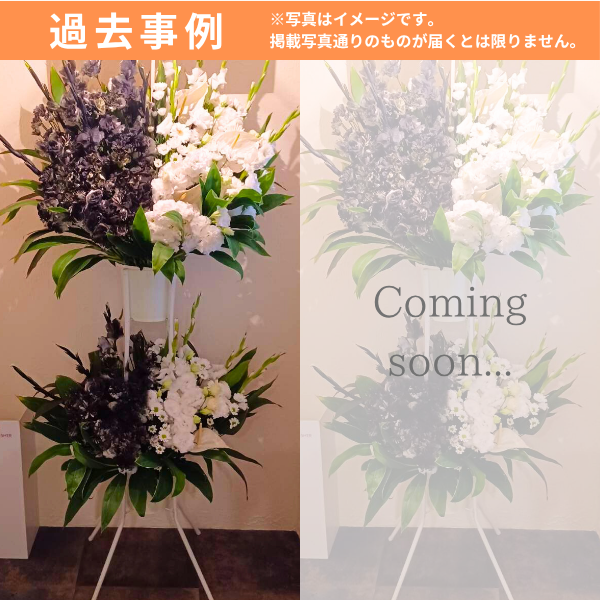 ɲ 2 ϡաϡաʹˡãġ 3