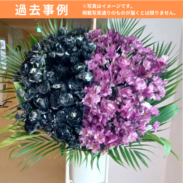 ɲ 1 ϡաϡաʥԥ󥯡ˡãġ 3