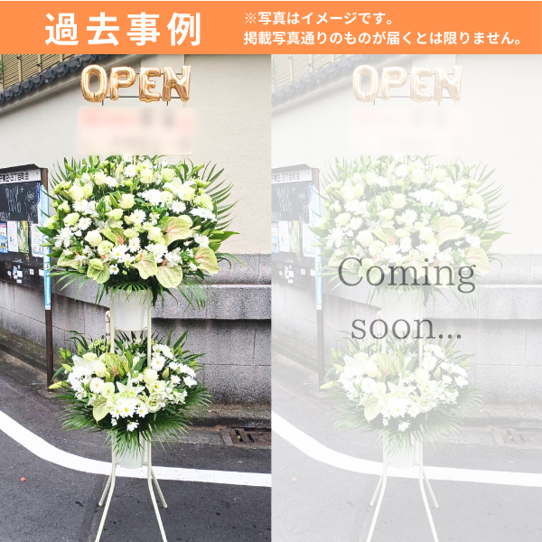 Х롼󥹥ɲ 2L 򡦥꡼ϢХ롼ʸġϰ 4