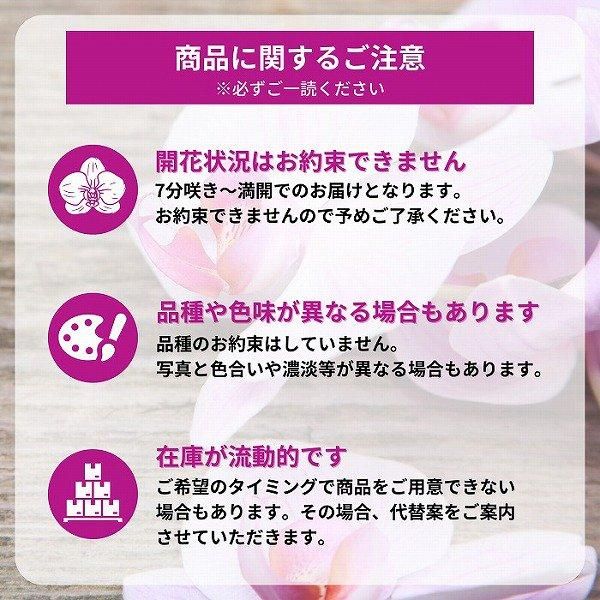 ٤뤪åԥ󥰸ĳ 3Ω 2730ذʾ()ʥȭѡˡˡͥեȤ
 11