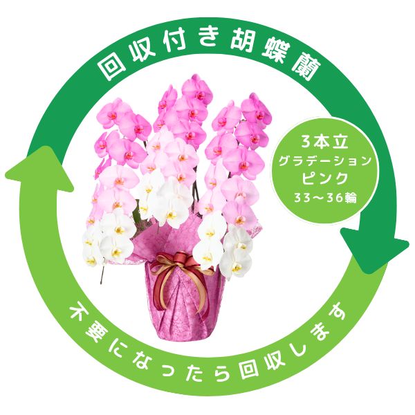 դǡĳ ԥ󥯷 3Ω 3336ذʾ