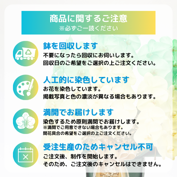 դǡĳ  3Ω 3336ذʾ 13