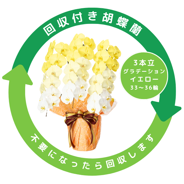 դǡĳ  3Ω 3336ذʾ