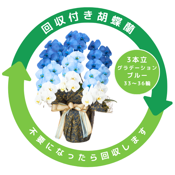 դǡĳ ֥롼 3Ω 3336ذʾ