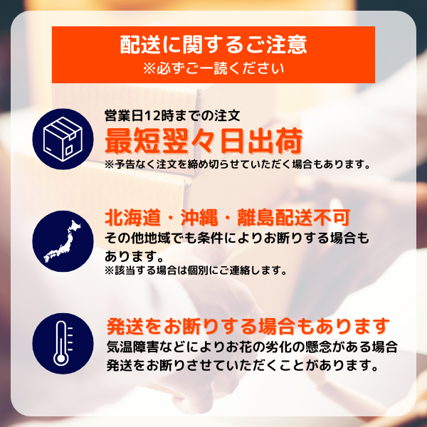 ڸŴˤβ֡ۥåꥵĳĤܤߤޤ 10