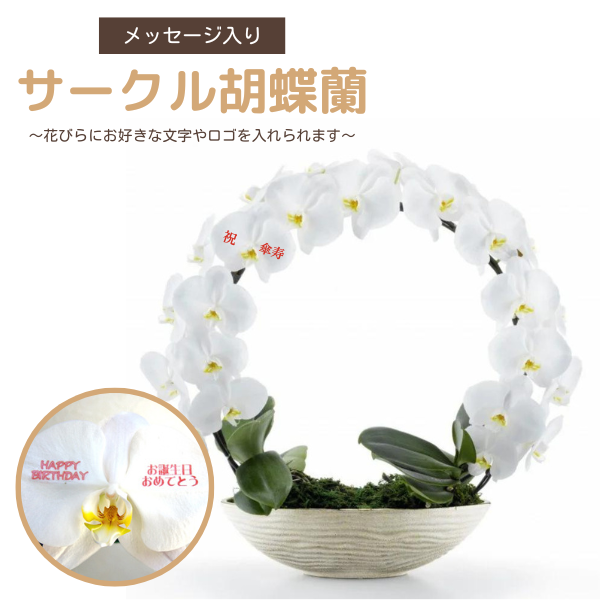 ڻˤβ֡ۥåꥵĳĤܤߤޤ