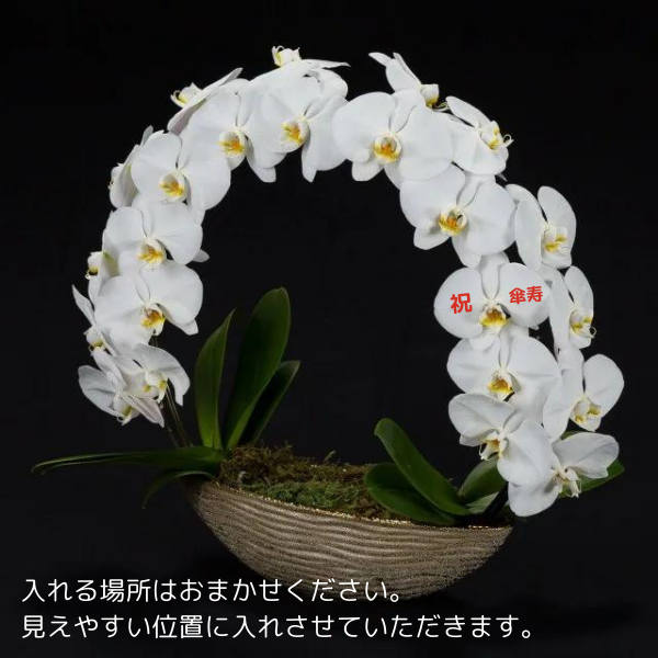 ڻˤβ֡ۥåꥵĳĤܤߤޤ 3