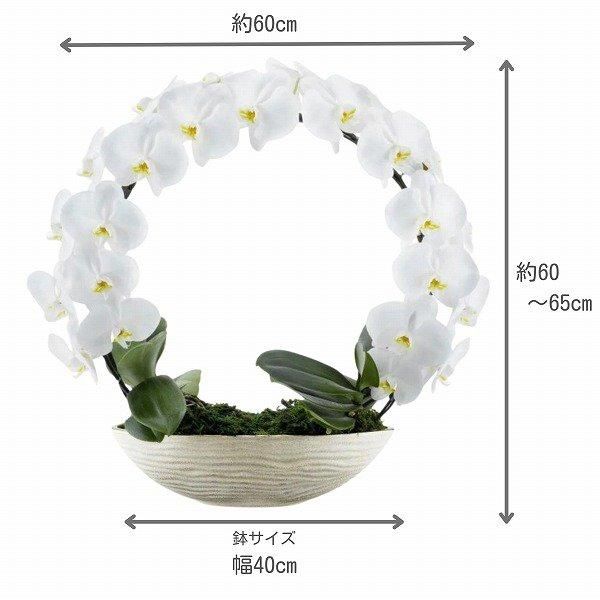 ڻˤβ֡ۥåꥵĳĤܤߤޤ 4