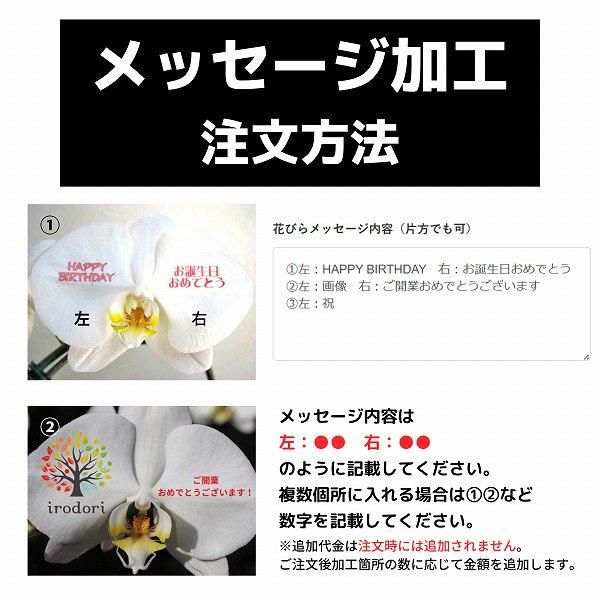 ڻˤβ֡ۥåꥵĳĤܤߤޤ 6