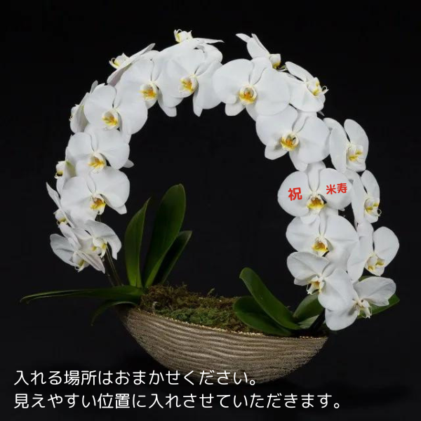 Ƽˤβ֡ۥåꥵĳĤܤߤޤ 3