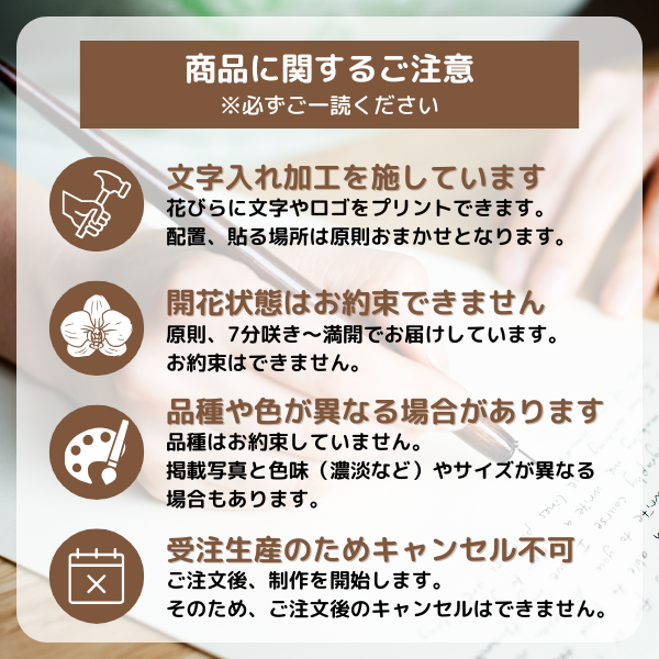 Ƽˤβ֡ۥåꥵĳĤܤߤޤ 9