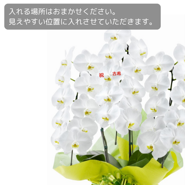 ڸŴˤβ֡ۥåĳ 3Ω  2730ذʾ墨Ĥܤߤޤ 3