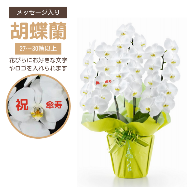 ڻˤβ֡ۥåĳ 3Ω  2730ذʾ墨Ĥܤߤޤ