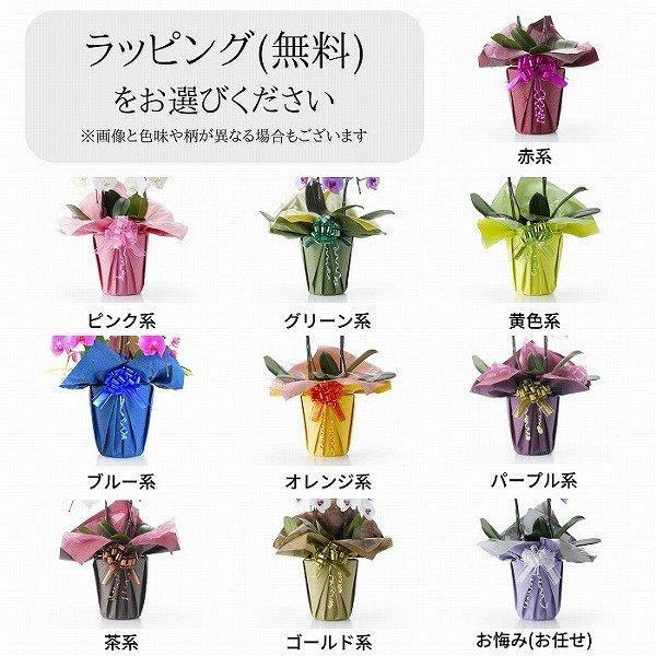 ڸŴˤβ֡ۥåĳ 3Ω  3942ذʾ墨Ĥܤߤޤ 9