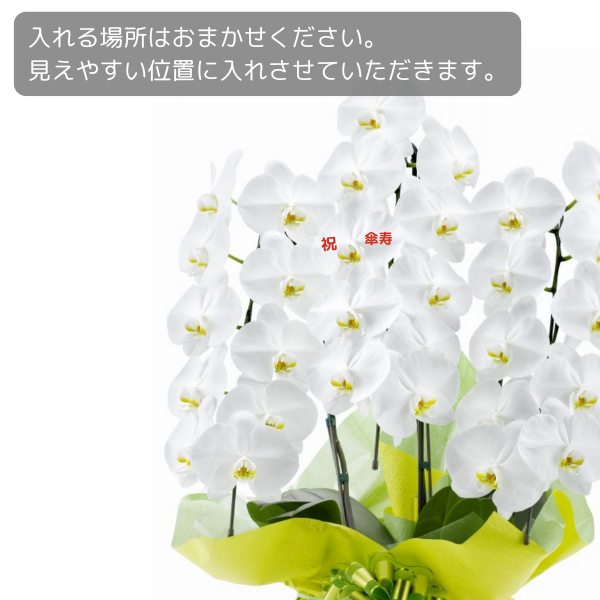 ڻˤβ֡ۥåĳ 3Ω  3942ذʾ墨Ĥܤߤޤ 3