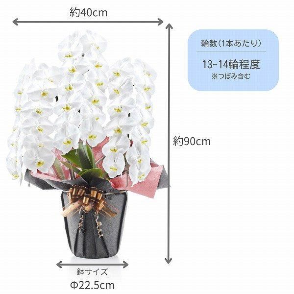 ڻˤβ֡ۥåĳ 3Ω  3942ذʾ墨Ĥܤߤޤ 4