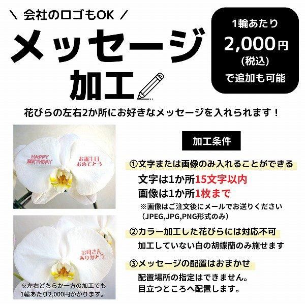 ڻˤβ֡ۥåĳ 3Ω  3942ذʾ墨Ĥܤߤޤ 5