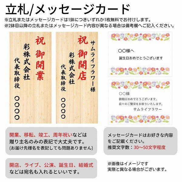 ڻˤβ֡ۥåĳ 3Ω  3942ذʾ墨Ĥܤߤޤ 7