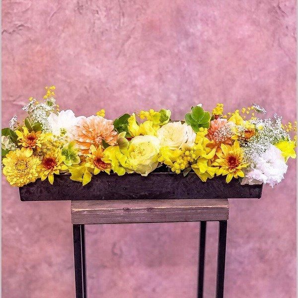 ڻˤβ֡۲Ĺ󥸥 LեꥹȤˤǤ(󥸷-01)