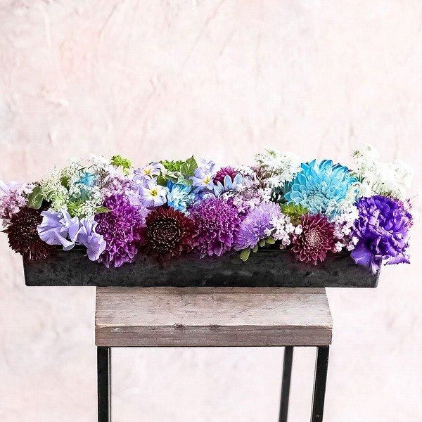 ´ˤβ֡۲Ĺ󥸥 LեꥹȤˤǤ(֥롼ѡץ-01)