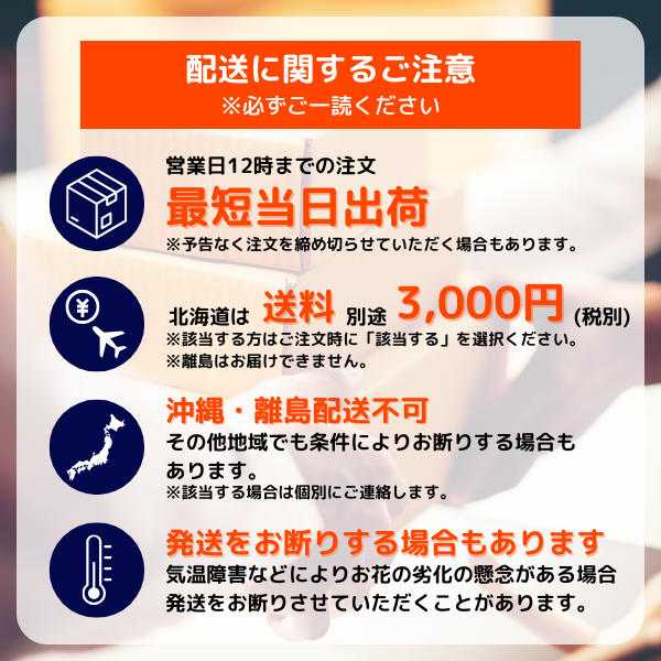 ڻˤβ֡ۥߥ˸ĳ 2Ω  14ذʾ墨Ĥܤߤޤ 9