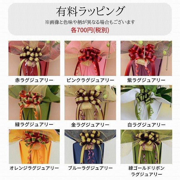 ڴˤβ֡ۥߥ˸ĳ 3Ω å 21ذʾ墨Ĥܤߤޤ 6