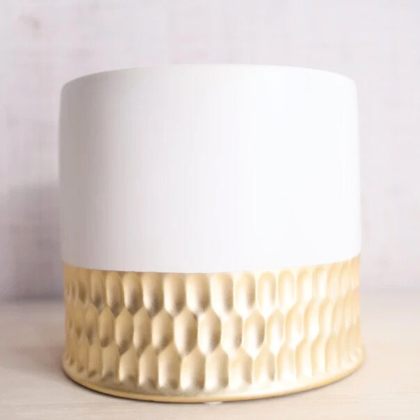 ڻˤβ֡ۥߥ˸ĳ 2Ω ʥɥݥåȡ 3