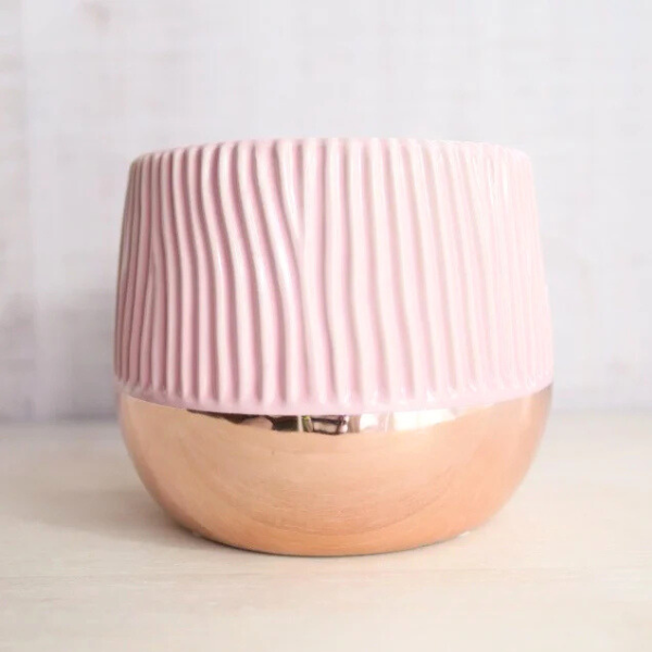 ڻˤβ֡ۥߥ˸ĳ 2Ω ϡʥɥ 4