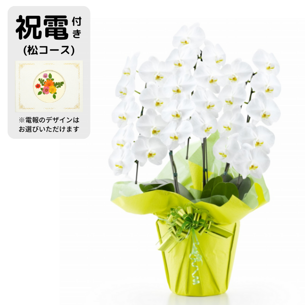 ڸŴˤβ֡۽šʾˤȸĳ 3Ω  2730ذʾ奻åȡ٤ޤ