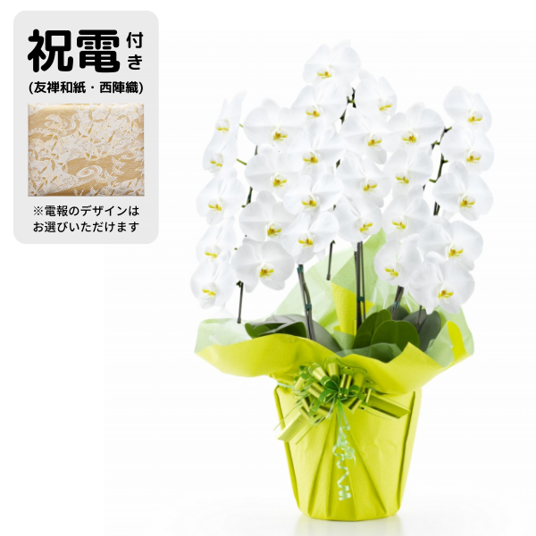 ڴˤβ֡۽šͧ»桦ؿˤȸĳ 3Ω  2730ذʾ奻åȡ٤ޤ