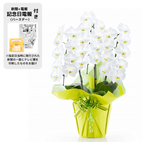 ´ˤβ֡۵ǰʥСǡˤȸĳ 3Ω  2730ذʾ奻åȡ٤ޤ