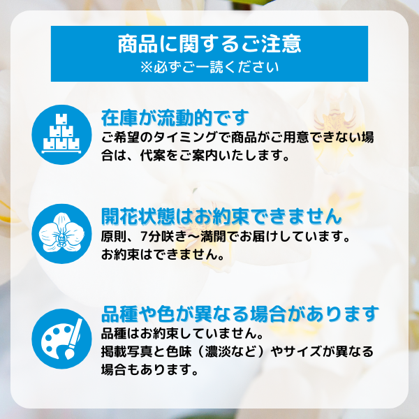 ڻˤβ֡۵ǰʥ֥롼ˤȸĳ 3Ω  2730ذʾ奻åȡ٤ޤ 18