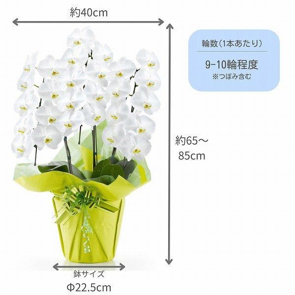 Ƽˤβ֡۵ǰʥ֥롼ˤȸĳ 3Ω  2730ذʾ奻åȡ٤ޤ 2