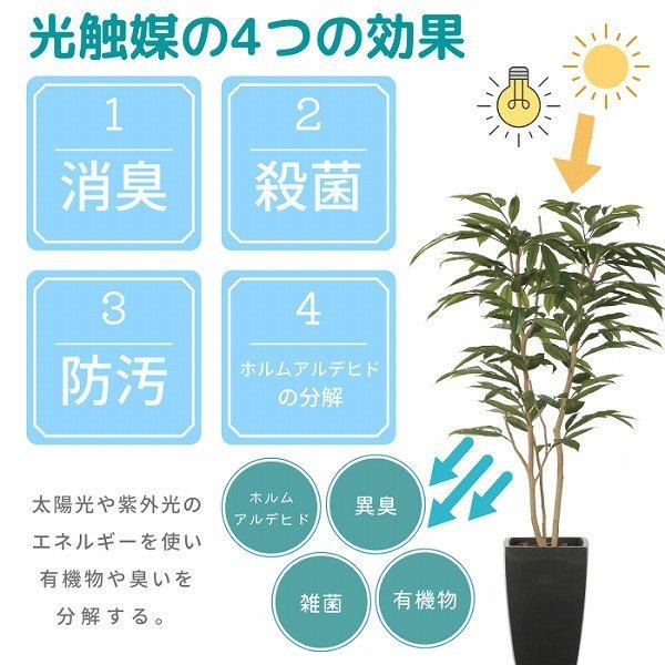 光触媒　人工観葉植物　フェイクグリーン　スリムサラサドウダン1.7 光触媒 光の楽園 スリムサラサドウダン1.7m【インテリア