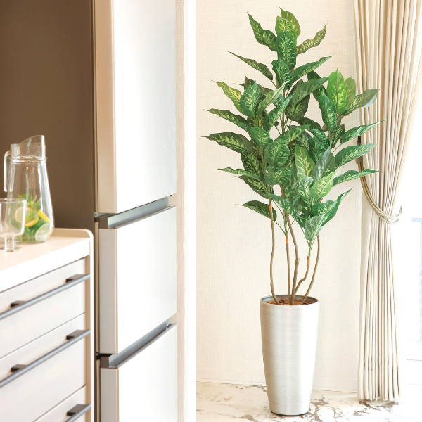 ¤()۴տʪ ǥեХ 150cm