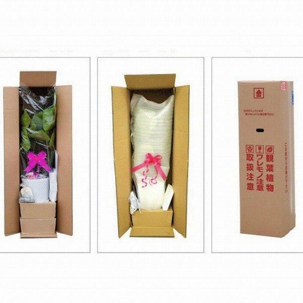 ¤()۴տʪ ǥեХ 150cm 7